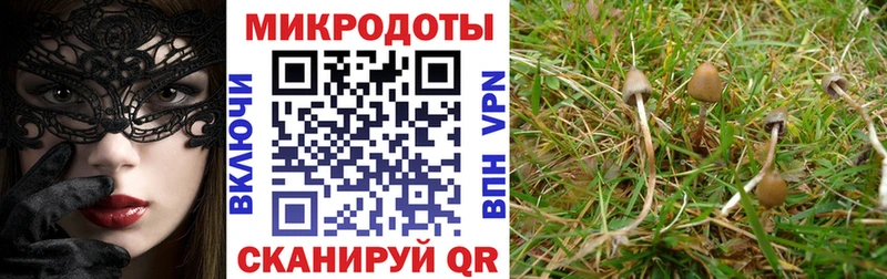 Галлюциногенные грибы MAGIC MUSHROOMS  купить закладку  Усть-Джегута 